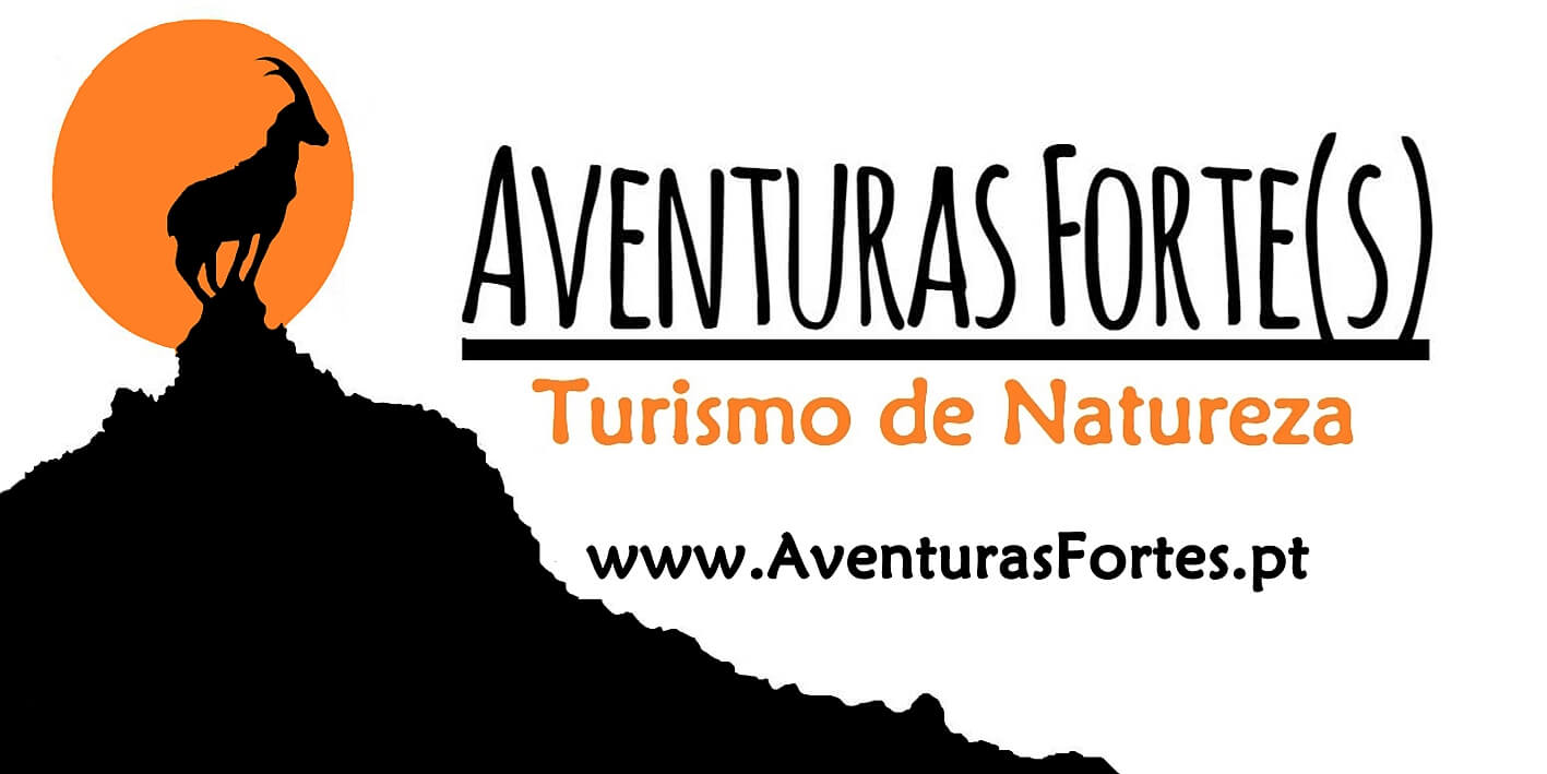 Logo Aventuras Fortes