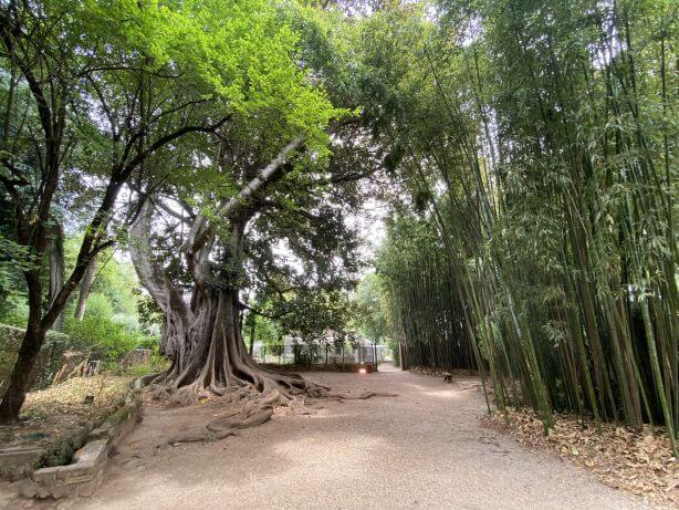 Stadswandeling Coimbra Santa Clara jardins das lagrimas