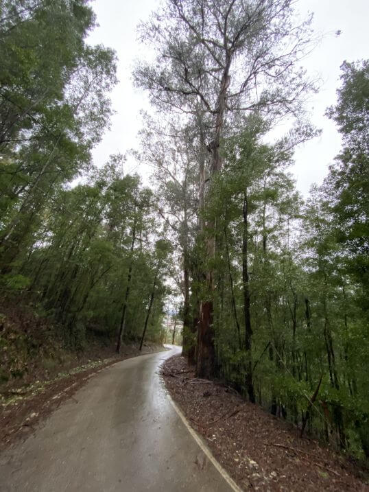 Wandelen op de Mont'Alto Arganil, eerste kerstdag 2022