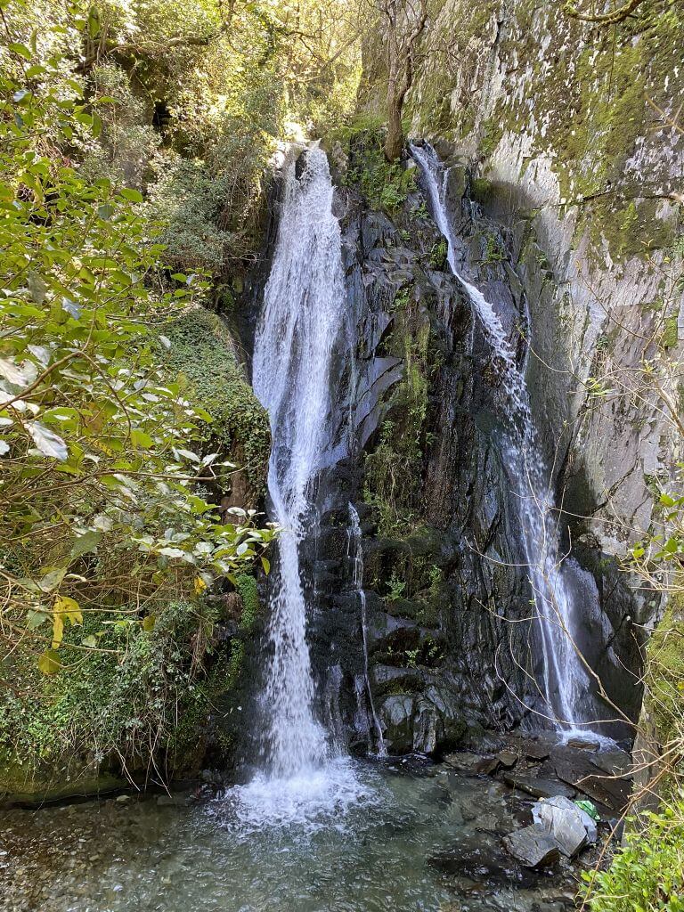 Fraga da Pena