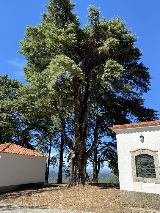 Santuario senhora das preces